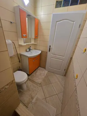 a small bathroom with a toilet and a sink at Sunny Lemon Garden in Petrovac na Moru