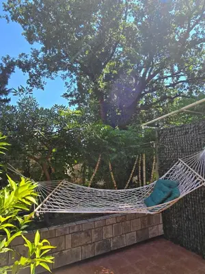 a hammock in a garden with trees in the background at Sunny Lemon Garden in Petrovac na Moru