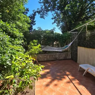 Sunny Lemon Garden