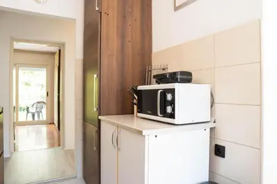 a kitchen with a microwave on top of a refrigerator at Central Apartment Dobrota II in Kotor