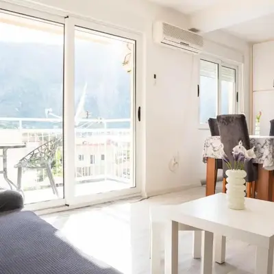 Central Apartment Dobrota II