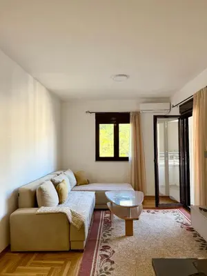 a living room with a couch and a table at Apartman Dunja Bečići in Becici