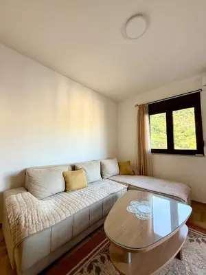 a living room with a couch and a table at Apartman Dunja Bečići in Becici