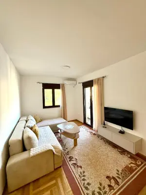 a living room with a couch and a flat screen tv at Apartman Dunja Bečići in Becici