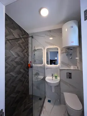 a bathroom with a shower and a toilet and a sink at Addy's Apartments in Ulcinj