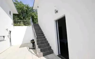 a dog standing on the side of a building with a staircase at Villa Infinity swimming pool above Saint Stephan in Andriči°i