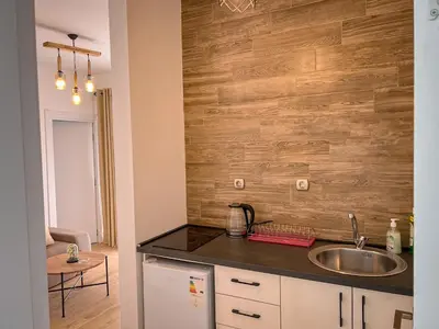 a kitchen with a sink and a wooden wall at Addy House in Ulcinj