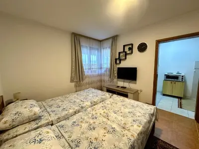 a bedroom with a bed and a television at Apartments Nera in Utjeha