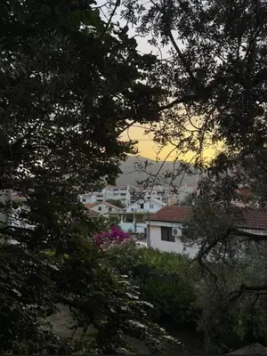 a view of a city from between two trees at Apartments Lipa in Budva