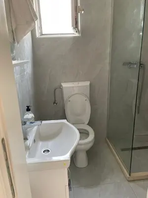 a bathroom with a toilet and a sink and a shower at Apartments Lipa in Budva