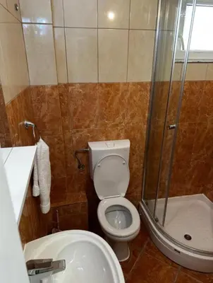 a bathroom with a toilet and a shower and a sink at Apartments Lipa in Budva