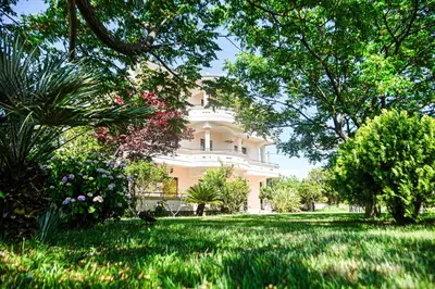a large white house with trees in the yard at Antonios Apartments in Ulcinj