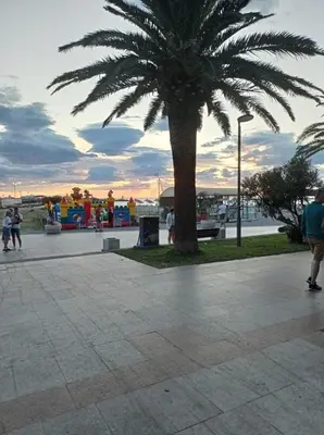 a palm tree in a park with people walking at Ilino Studio Apartment in Bar