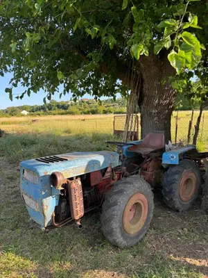 an old tractor parked next to a tree at Lukic Guest house in Ulcinj