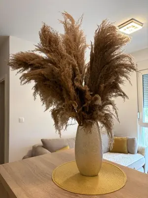 a vase with a plant in it on a table at Apartments Masa in Podgorica