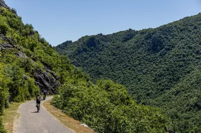 a person riding a bike down a dirt road at Wild silence - Skadar Lake in Virpazar