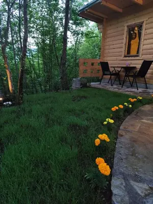 a yard with flowers in front of a cabin at Brvnara Toma in Cetinje