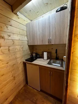 a kitchen with wooden cabinets and a sink in a cabin at Brvnara Toma in Cetinje