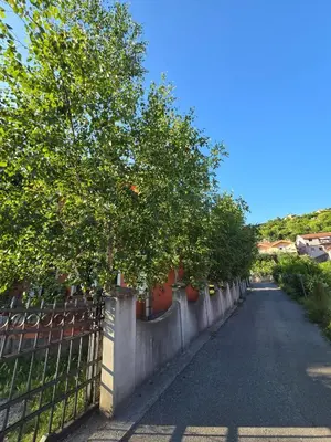 a fence with trees on the side of a road at Apartman Knez 1 in Podgorica