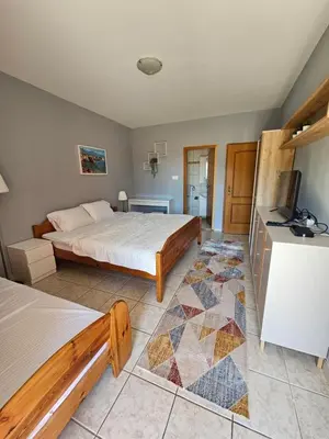 a bedroom with two beds and a television in it at Villa Linna in Budva