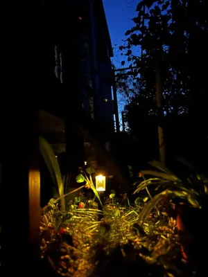 a night view of a garden with a light in the dark at Villa Linna in Budva
