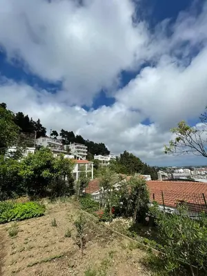 a view of a city with white buildings and trees at Cool room in Authentic Montenegro House in Ulcinj