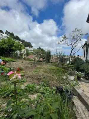 a garden with flowers and plants in a yard at Cool room in Authentic Montenegro House in Ulcinj