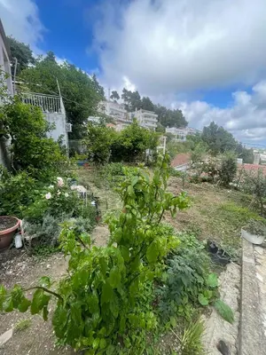 a garden with some plants in a yard at Cool room in Authentic Montenegro House in Ulcinj