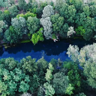 an aerial view of a river with trees and blue water at Whispering Waters