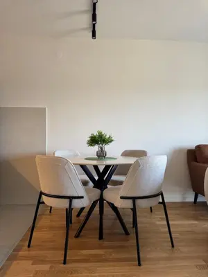 a dining room table with three chairs and a plant on it at Apartment 43 with Garage in Podgorica