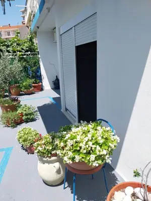 a group of potted plants sitting on a patio at Jon in Ulcinj