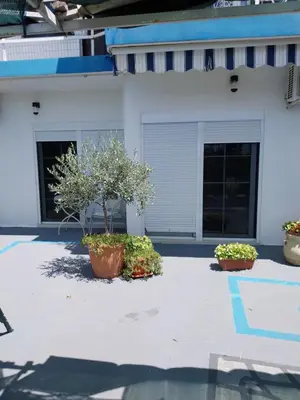 two potted plants in front of a white house at Jon in Ulcinj