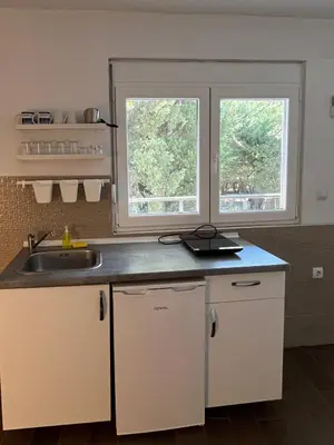 a kitchen with a sink and two windows at Apartmani Aleksandar Rudinac Čanj in Čanj