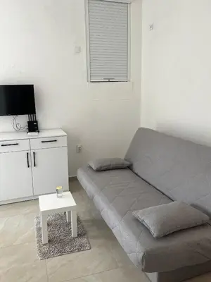 a bedroom with a bed and a tv and a table at Apartmani Aleksandar Rudinac Čanj in Čanj