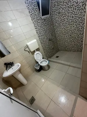 a bathroom with a toilet and a sink at Sara s Apartments in Ulcinj