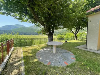 a picnic table in the grass under a tree at The Viewpoint House - Njeguši in Njeguši
