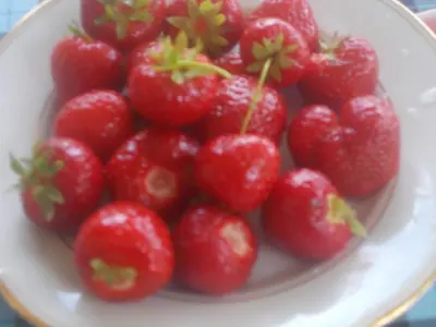 a bowl of strawberries on a white plate at Guesthouse Feel Lake in Virpazar