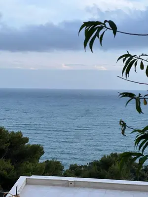 a view of the ocean from a house at Apartment Zeneli in Ulcinj