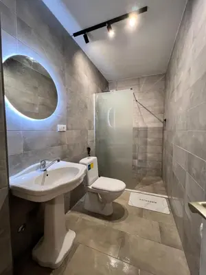 a bathroom with a sink and a toilet and a shower at Apartment Zeneli in Ulcinj