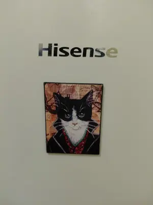 a picture of a black and white cat wearing a suit at Black Cat Apartment in Budva