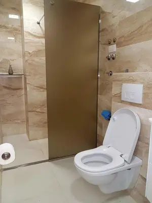 a bathroom with a toilet and a shower at Apartment TC Lux VLSB in Budva