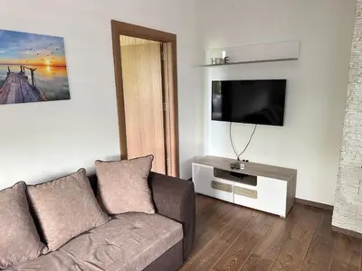 a living room with a couch and a flat screen tv at Apartman T&T in Cetinje
