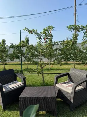 two chairs and a table in front of a field at Cloud 9 Apartment in Lajkovići