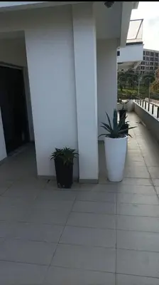 two potted plants sitting on the side of a building at Ars Dobra Voda in Dobra Voda