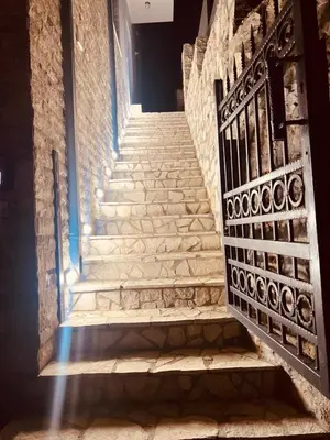a stairway leading up to a building with stone stairs at Villa Nova Bar in Bar
