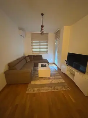 a living room with a couch and a tv at Apartmani Odmor in Podgorica