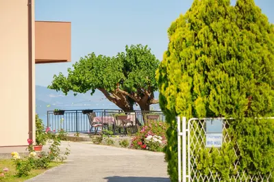 a garden with a white fence and trees and flowers at Big Hill Apartment 2 in Kotor