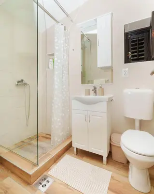 a bathroom with a shower and a toilet and a sink at Big Hill Apartment 2 in Kotor