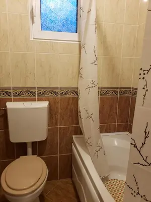 a bathroom with a toilet and a shower curtain at Отдых с комфортом и близко к морю in Bar, Susanj