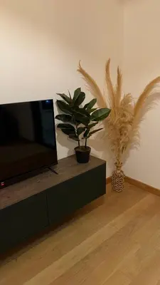 a living room with a tv and two potted plants at Becici Green Oasis Apartment - Nature & Comfort in Becici
